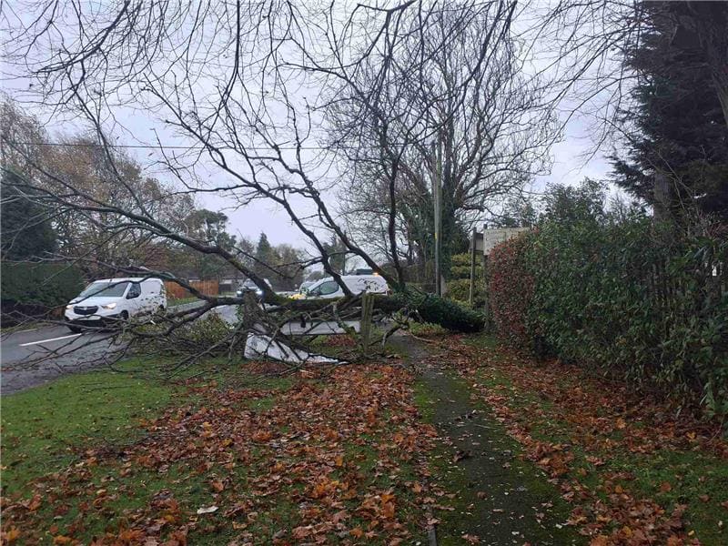 A fallen tree across the pavement and road at Ridge Hill in Sutton